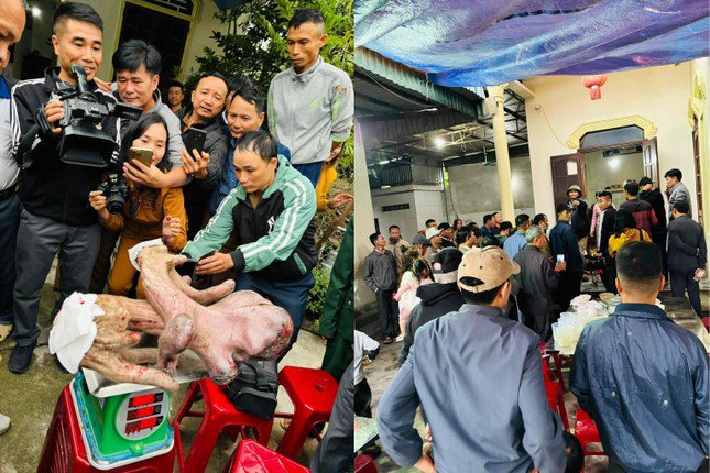Nghe tin gia đình ông Thuận thu hoạch cặp nhung nai khủng, hàng chục người đã đến để chiêm ngưỡng.