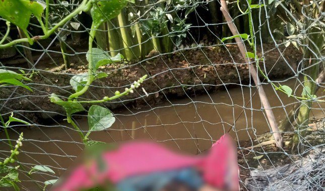 Hiện trường nơi ông Hạp tử vong.