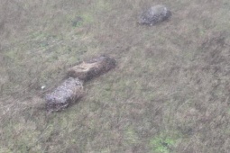 Thế giới - Ukraine: Hình ảnh hé lộ chiến thuật "tàng hình" mới của bộ binh Nga?