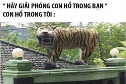 Truyện cười:  Con gái quá báo, hại bố mẹ cãi nhau long trời lở đất