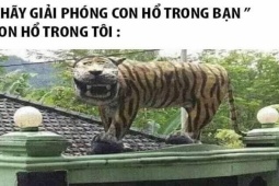 Truyện cười - Truyện cười:  Con gái quá báo, hại bố mẹ cãi nhau long trời lở đất