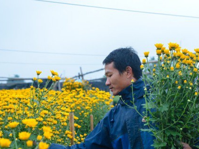 Thị trường - Tiêu dùng - Làng hoa lâu đời nhất miền Bắc tất bật chuẩn bị vào vụ Tết