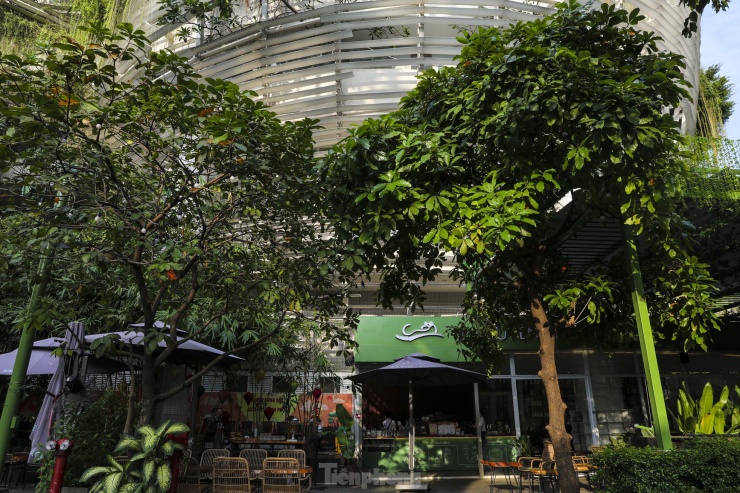Tầng trệt có quán cà phê, hội trường đa năng, sảnh hoạt động cho ngày mưa, không gian chờ cho phụ huynh.