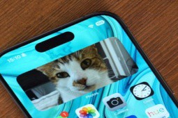 iPhone 15 lại ghi điểm mạnh với khả năng chụp ảnh chó - mèo