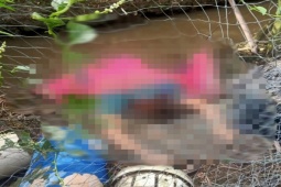 Pháp luật - Vĩnh Long: Điều tra vụ người đàn ông tử vong bất thường trong vườn cam