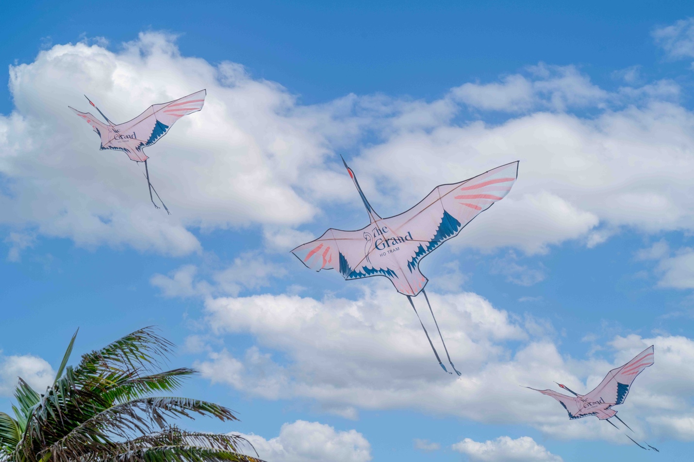 The Grand Ho Tram chuyển mình với định vị ‘Quận Vui’, mở ra niềm vui và tự do bất tận - 3