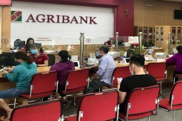 Ngân hàng Agribank rao bán loạt BĐS liên quan đến Tập đoàn Tân Hoàng Minh tại Phú Quốc