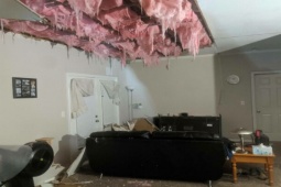 Tranh vui - Vừa vào nhà đã muốn mang quần áo bỏ đi luôn