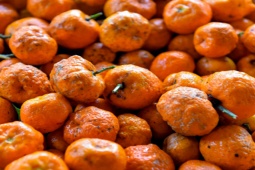 Thị trường - Tiêu dùng - Kì lạ loại quả "hôi", người dân lấy vỏ, bỏ ruột, chế biến thành sản phẩm bán tiền triệu