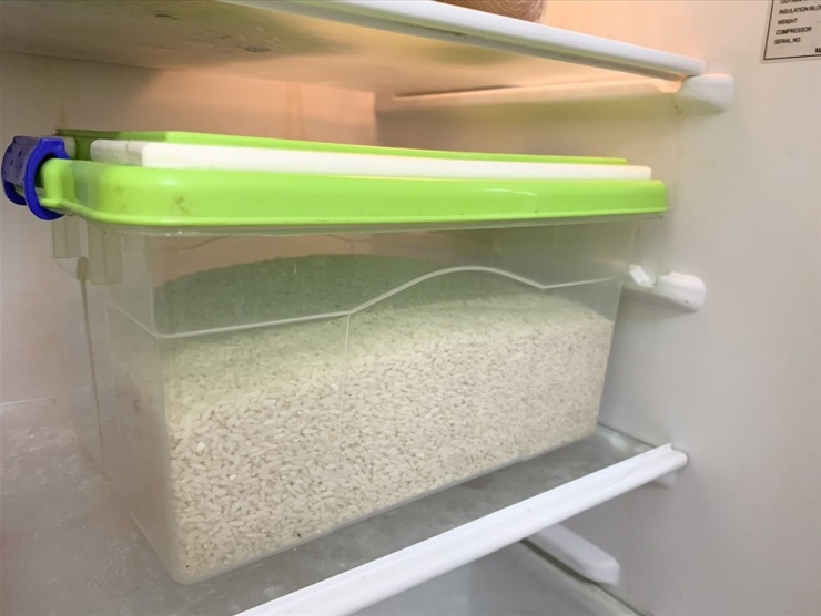 Nhiệt độ trong tủ lạnh được xem là điều kiện lý tưởng cho việc bảo quản gạo vì có thể tiêu diệt và ngăn ngừa mọt gạo hiệu quả.