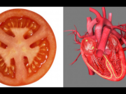 Sức khỏe đời sống - Điều bất ngờ khi ăn mỗi ngày một quả cà chua
