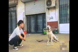 Clip hài hước - Thanh niên "troll" chó khiến dân mạng cười nghiêng ngả