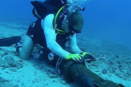 Công nghệ thông tin - Người dùng internet tại Việt Nam đón tin vui dịp cuối năm