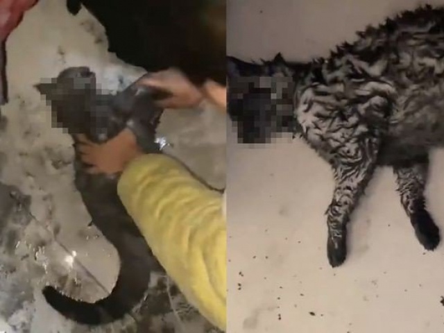 Bạn trẻ - Cuộc sống - Ra ngoài không tắt máy sưởi, cặp đôi khóc ròng hối không kịp