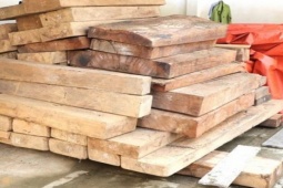 Tin tức trong ngày - Gỗ lậu trên đất trưởng phòng nội vụ ở Quảng Nam: Phạt người anh trai 37,5 triệu đồng