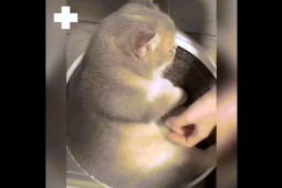 Clip hài hước - Dỗi rồi đừng có mà đụng chạm