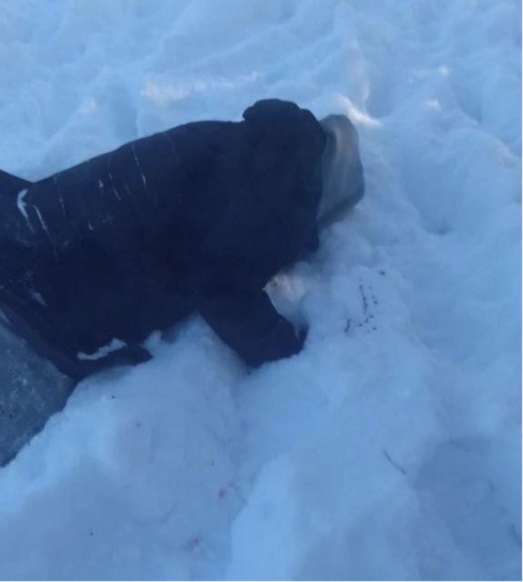 Thi thể ông Kyva nằm úp mặt trên nền tuyết. Nhà chức trách Nga cho biết, nạn nhân tử vong tại chỗ. Ảnh: Cơ quan An ninh Ukraine.