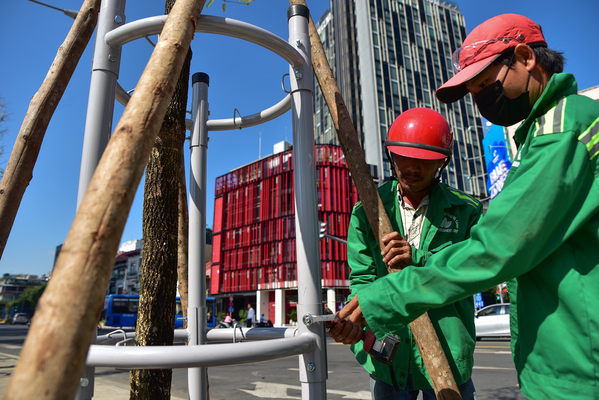 Quá trình trồng, mỗi cây được chống đỡ bằng ba cọc gỗ. Các nhóm công nhân cố định giá đỡ chằng néo cây được thiết kế hình tròn, 3 chân bằng chất liệu thép có tính thẩm mỹ cao.