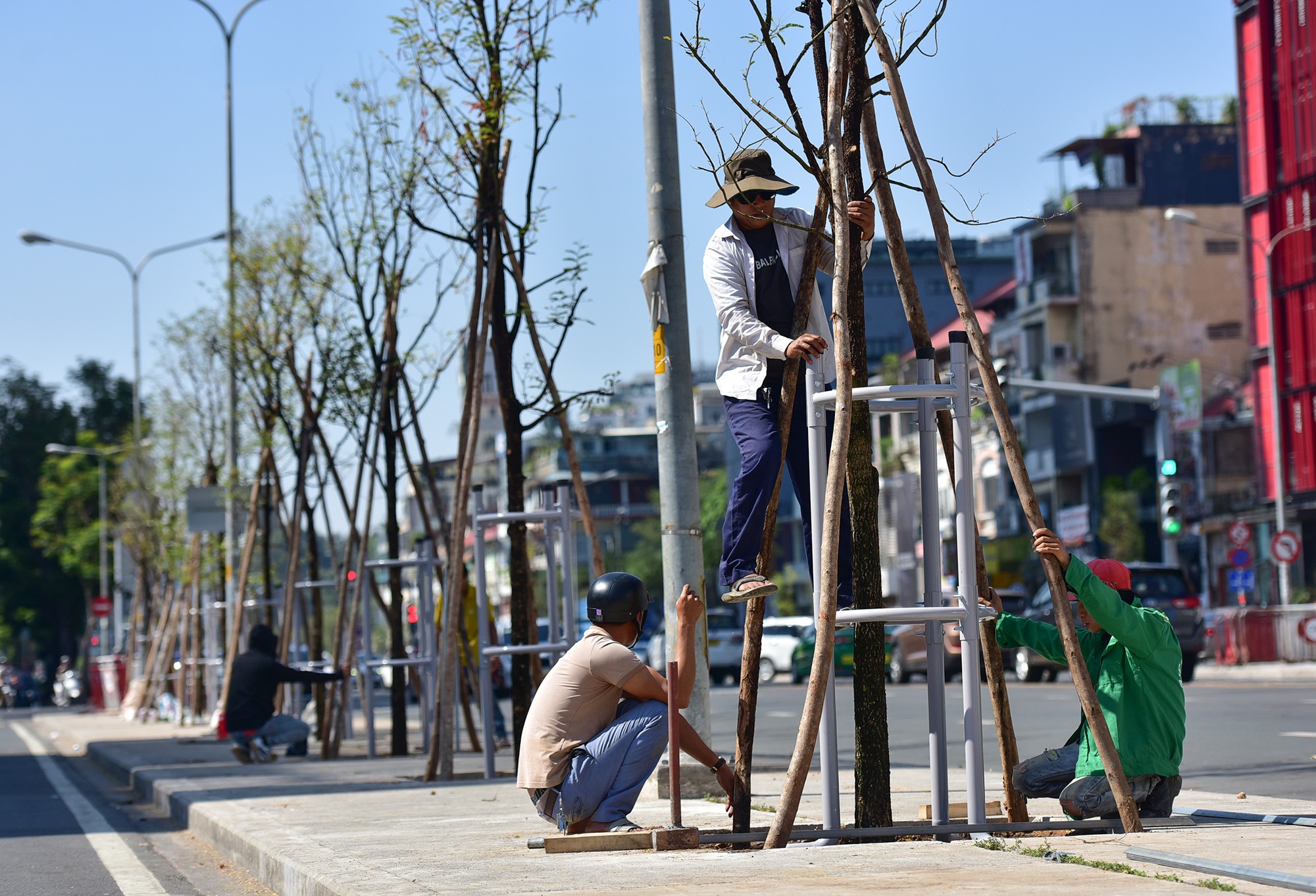 Sáng 12/12, các nhóm công nhân tiếp tục cố định khung giằng néo cây, chuẩn bị bó vỉa hố, hoàn thành phần lớn số cây đã được trồng.