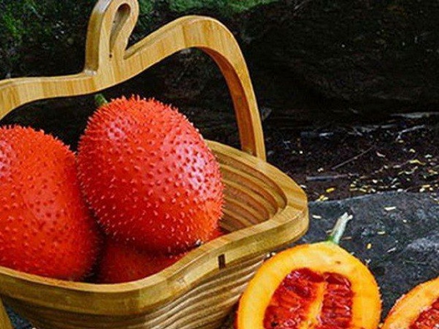 Ẩm thực - Phần giá trị nhất của quả gấc, nhiều người không biết vứt đi