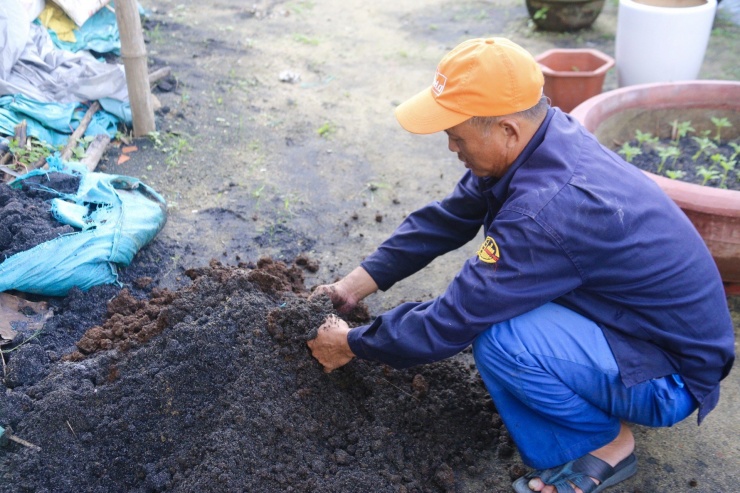 Người dân làm phân bón, phun thuốc để chủ động phòng ngừa và hạn chế một số sâu bệnh gây hại cho hoa.