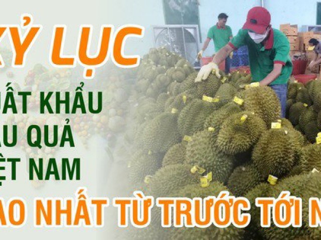 Kỷ lục xuất khẩu rau quả Việt Nam cao nhất từ trước tới nay