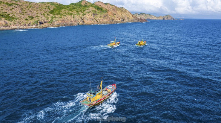 Từng đoàn tàu nối đuôi nhau vươn khơi đánh bắt.