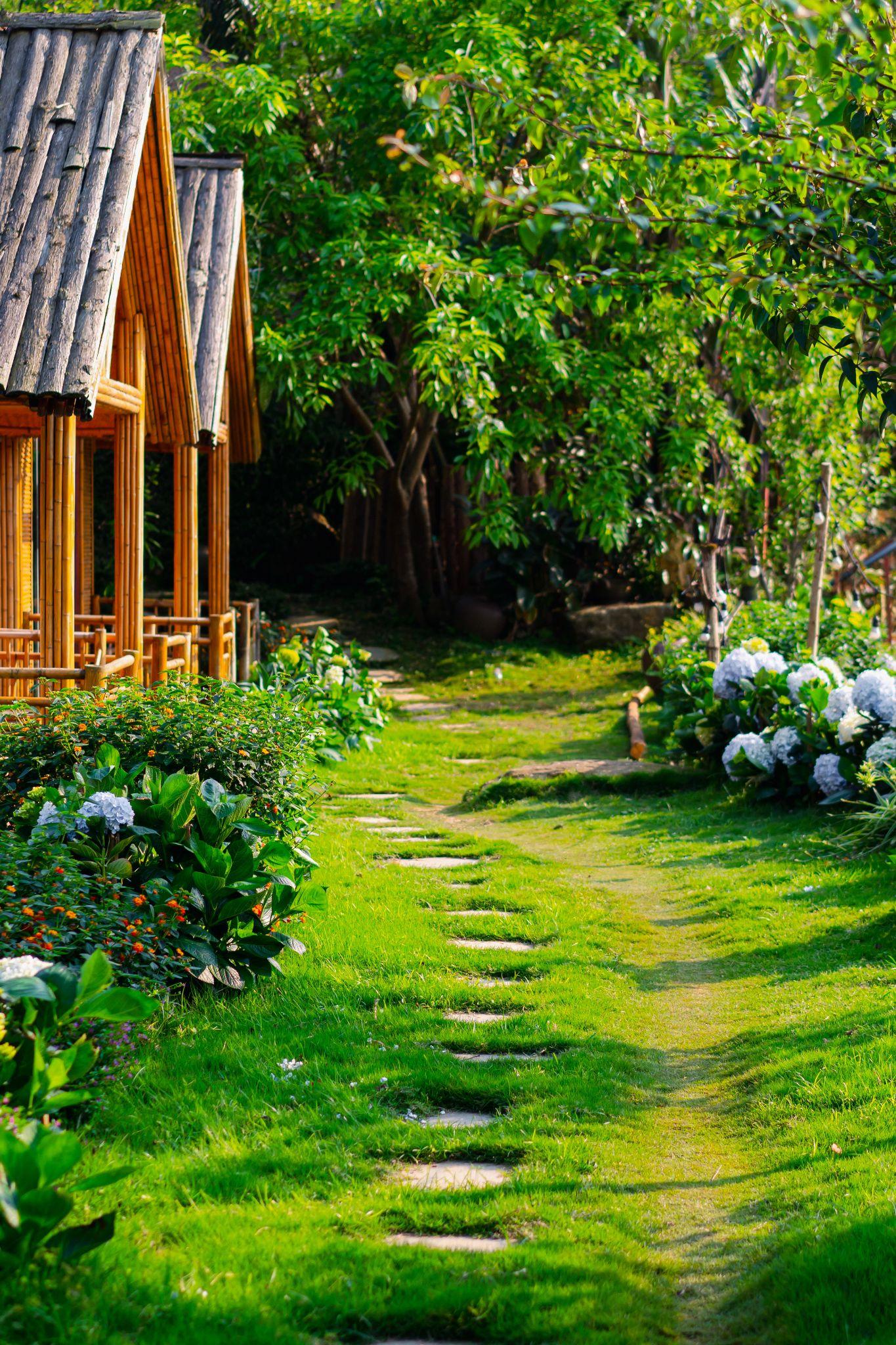 Buổi sáng khi thức giấc, nhìn ra ngoài cửa sổ là cả một khung cảnh vô cùng đẹp, khiến mình có cảm giác như đang ở thiên đường vậy. Các bạn có thể đi dạo, khám phá quanh bản, đâu đâu cũng tràn ngập những bông hoa khoe sắc.