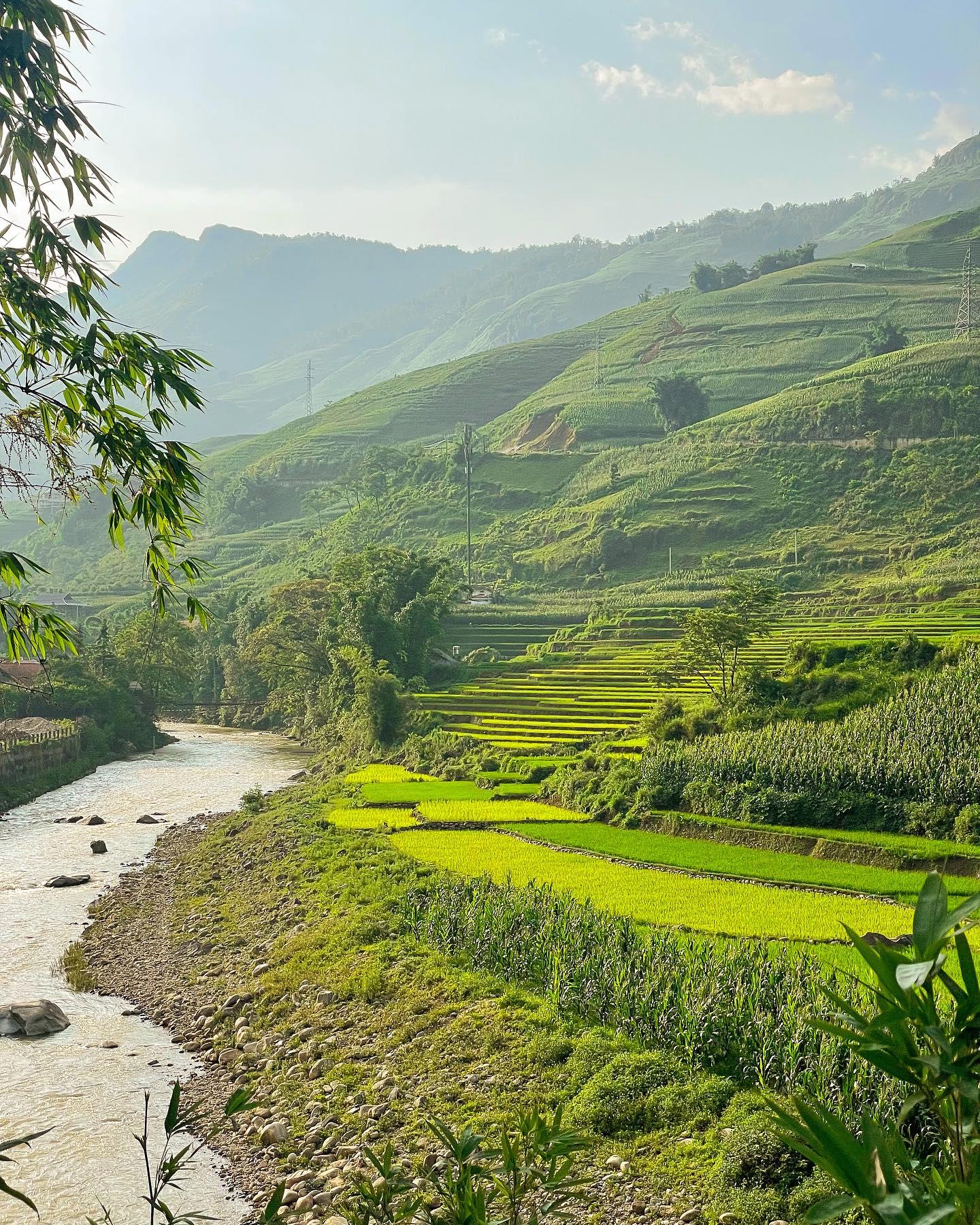 Chỉ cách khoảng 8km từ trung tâm Sapa xuống Tả Van, du khách như được đến với một thế giới khác, một khung cảnh bình yên với cỏ cây và hoa lá. Không có các khách sạn, nhà cao tầng, tại Tả Van rất phát triển các dịch vụ lưu trú homestay, với các căn nhà gỗ nằm nép sau những rặng tre.