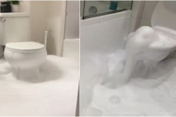 Bạn trẻ - Cuộc sống - Vừa chuyển đến căn hộ mới, cô gái sốc nặng khi chứng kiến cảnh tượng trước mắt