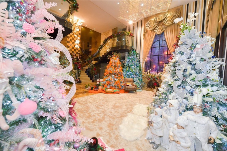 Biệt thự 60 tỷ của Đàm Vĩnh Hưng có gì mà khiến dân tình đổ xô check-in? - 6