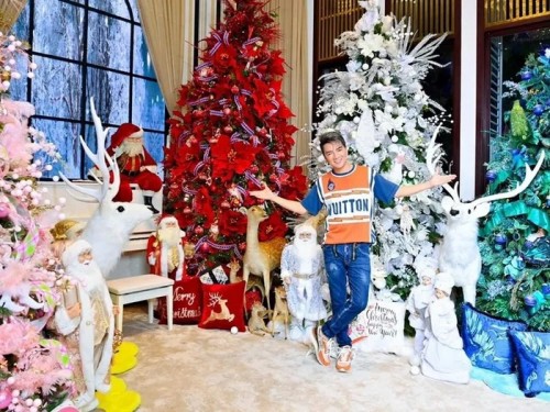 Biệt thự 60 tỷ của Đàm Vĩnh Hưng có gì mà khiến dân tình đổ xô check-in? - 11