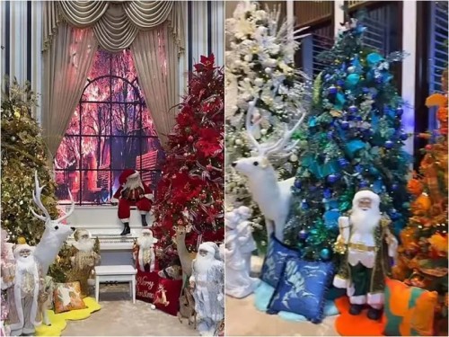 Biệt thự 60 tỷ của Đàm Vĩnh Hưng có gì mà khiến dân tình đổ xô check-in? - 12