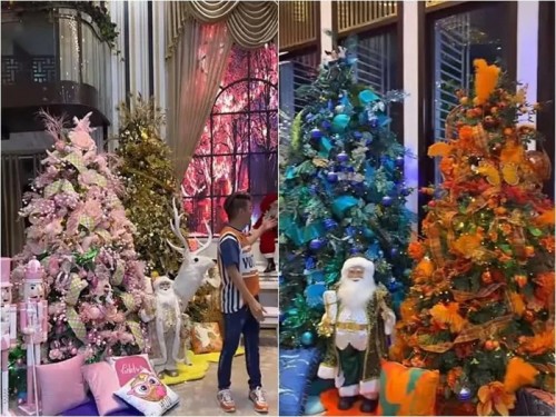 Biệt thự 60 tỷ của Đàm Vĩnh Hưng có gì mà khiến dân tình đổ xô check-in? - 13