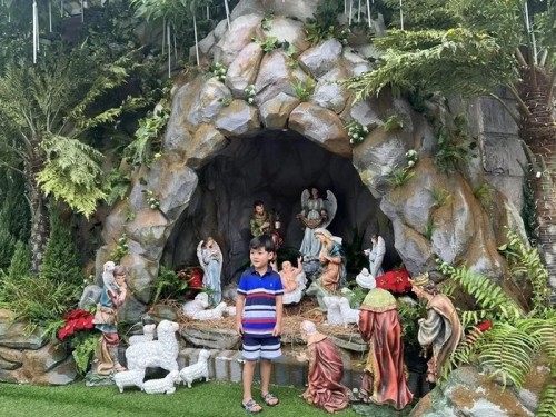 Biệt thự 60 tỷ của Đàm Vĩnh Hưng có gì mà khiến dân tình đổ xô check-in? - 1