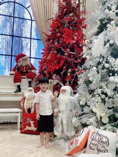 Biệt thự 60 tỷ của Đàm Vĩnh Hưng có gì mà khiến dân tình đổ xô check-in? - 3