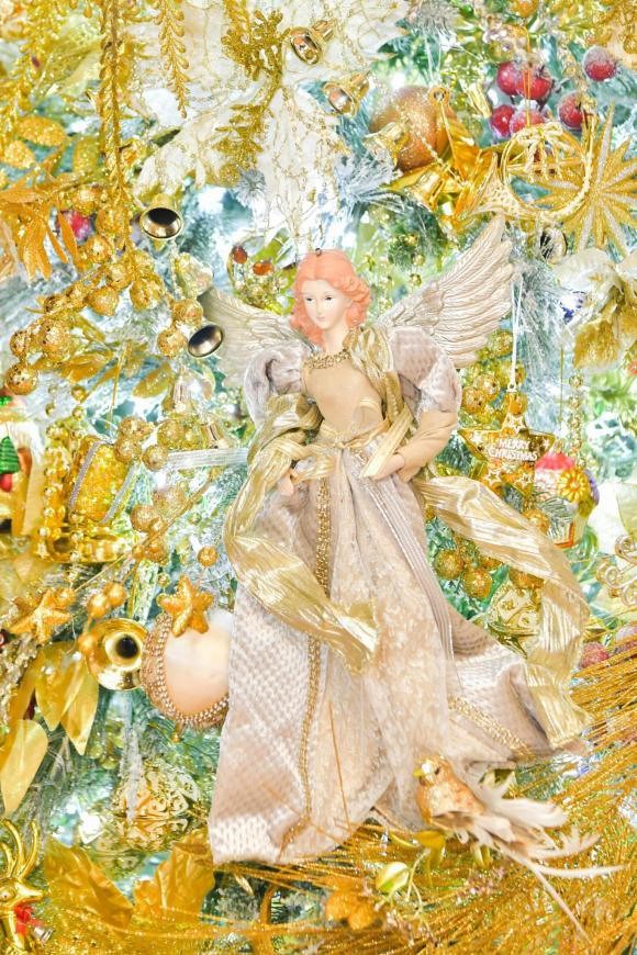 Biệt thự 60 tỷ của Đàm Vĩnh Hưng có gì mà khiến dân tình đổ xô check-in? - 13