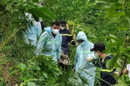 Pháp luật - Nam giáo viên chết treo cổ trên đỉnh đồi ở TT-Huế