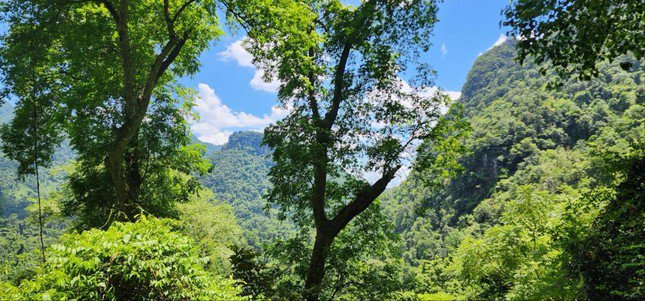 Quảng Bình hiện có tỉ lệ che phủ rừng thuộc tốp cao trong cả nước, hơn 60%.