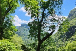 Tin tức trong ngày - Tin tức 24h qua: Quảng Bình được nhận hơn 80 tỷ đồng từ bán 'không khí'