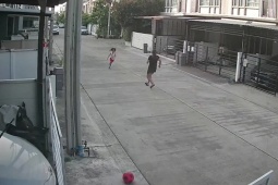 Phi thường - kỳ quặc - Quạ "ngang ngược" tấn công bé trai bỗng "rén ngang" khi thấy nhân vật "quyền lực"