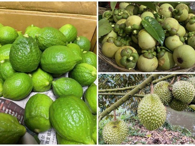 Thị trường - Tiêu dùng - 3 loại trái cây gây sốt thị trường Việt năm 2023
