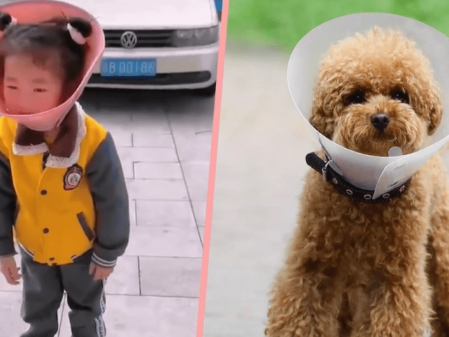 Bạn trẻ - Cuộc sống - Tranh cãi việc ông nội "cai nghiện" điện thoại cho cháu bằng vật dụng không ai ngờ