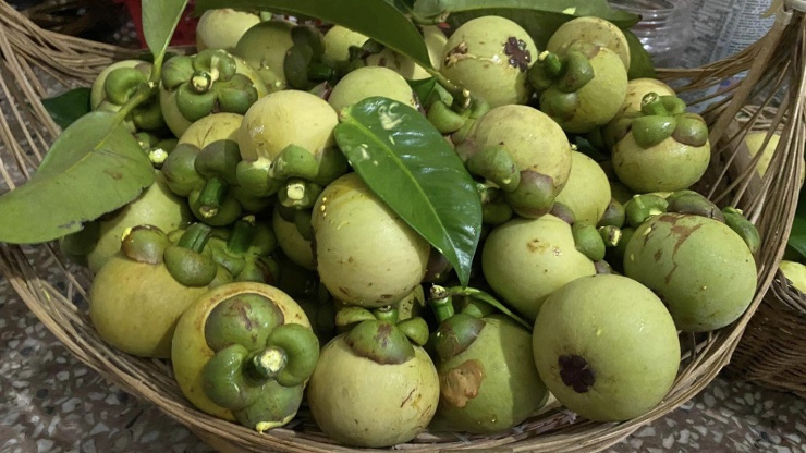 Thời điểm đó, giá một cân măng cụt xanh đã gọt vỏ đắt gấp 10 lần măng cụt thường, dao động từ 600.000 - 900.000 đồng/kg. Giá măng cụt xanh khi chưa gọt vỏ khoảng từ 50.000 - 80.000 đồng/kg, tương đương với giá của măng cụt chín. Ảnh: Facebook