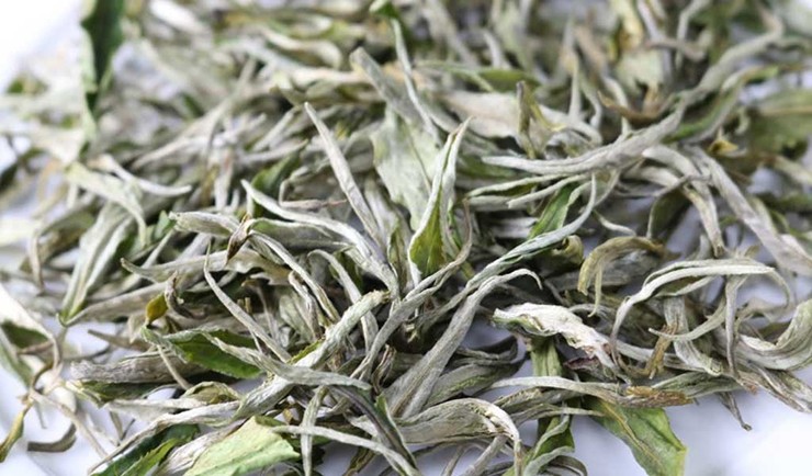 Dưới lá trà có phủ một lớp lông tơ mịn, trắng nên người dân gọi là chè shan tuyết- mang ý nghĩ chè ngậm tuyết nơi núi cao

