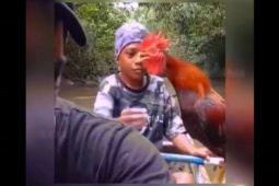 Clip hài hước - Con người khiến động vật hoài nghi nhân sinh