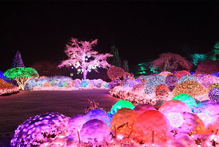 Lễ hội ánh sáng tại The Garden of Morning Calm: Được tổ chức tại Garden of Morning Calm, Lễ hội Ánh sáng là một trong những lễ hội ánh sáng lớn nhất ở Hàn Quốc được bao phủ gần 330.000m2 ánh sáng. Với các chủ đề hằng năm khác nhau, những ánh đèn lấp lánh càng tô thêm cho vẻ đẹp tự nhiên của khu vườn trong mùa đông.
