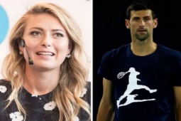 Thể thao - Không phải Djokovic hay Sinner, Sharapova mới là tay vợt "dễ dạy" nhất