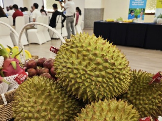 Thị trường - Tiêu dùng - Sầu riêng tăng giá mạnh