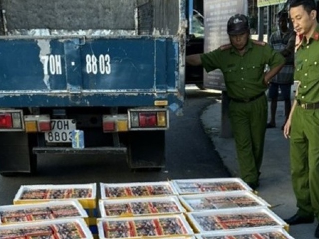 Thị trường - Tiêu dùng - Núp bóng xe chở trái cây "ém" hơn 6,3 tạ pháo lậu